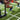 Gym Turf  – Numbered and Solid-Color Options