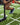 Gym Turf  – Numbered and Solid-Color Options